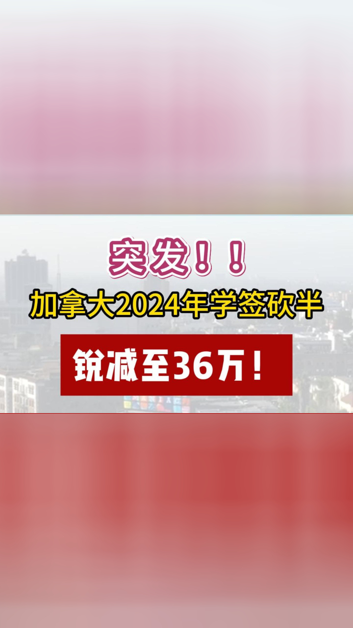 突发！加拿大2024年学签砍半，锐减至36万！