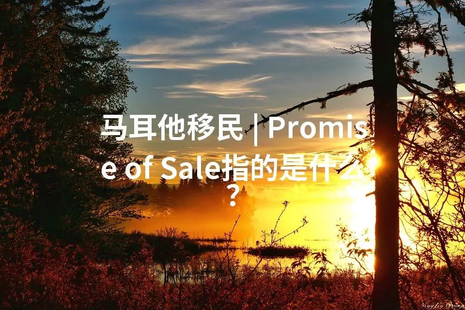 马耳他移民 | Promise of Sale指的是什么？