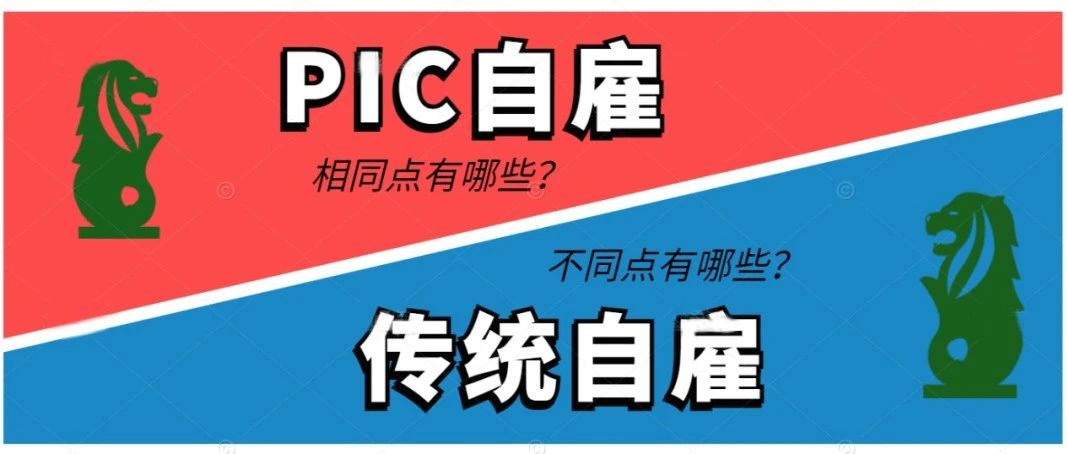 新加坡PIC自雇 VS 传统自雇，二者的相同点与不同点分析！